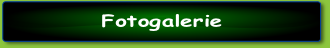Fotogalerie .
