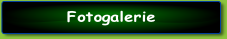 Fotogalerie .