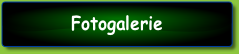 Fotogalerie .