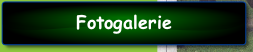 Fotogalerie .