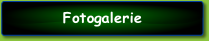 Fotogalerie .